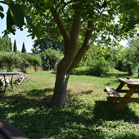 Mobil-Home Sur Terrain Bucolique Hyères Dış mekan fotoğraf